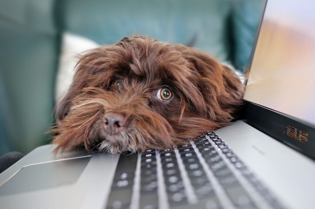 when a total noob like me joins upGrad’s digital marketing program?